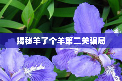 揭秘羊了个羊第二关骗局 揭秘羊了个羊第二关骗局