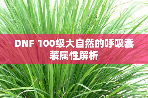 DNF 100级大自然的呼吸套装属性解析 DNF 100级大自然的呼吸套装属性解析