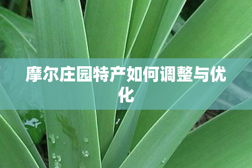 摩尔庄园特产如何调整与优化 摩尔庄园特产如何调整与优化
