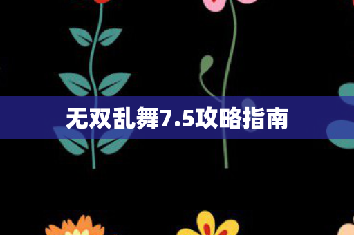 无双乱舞7.5攻略指南 无双乱舞7.5攻略指南