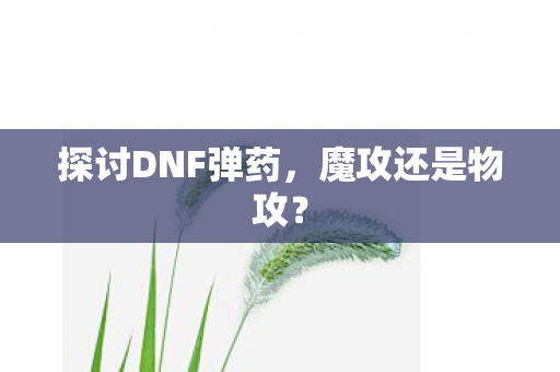 探讨DNF弹药,魔攻还是物攻? 探讨DNF弹药,魔攻还是物攻?