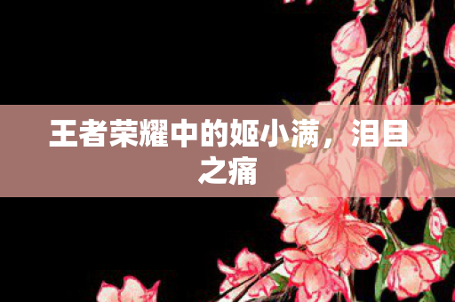 王者荣耀中的姬小满,泪目之痛 王者荣耀中的姬小满,泪目之痛