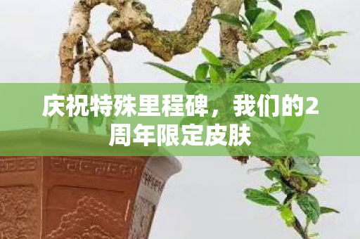 庆祝特殊里程碑,我们的2周年限定皮肤 庆祝特殊里程碑,我们的2周年限定皮肤