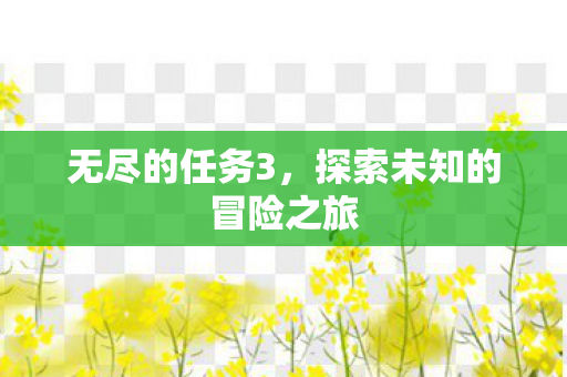 无尽的任务3，探索未知的冒险之旅