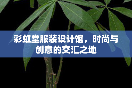 彩虹堂服装设计馆，时尚与创意的交汇之地
