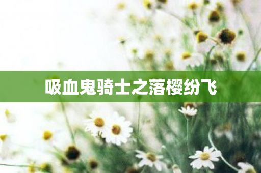 吸血鬼骑士之落樱纷飞 吸血鬼骑士之落樱纷飞