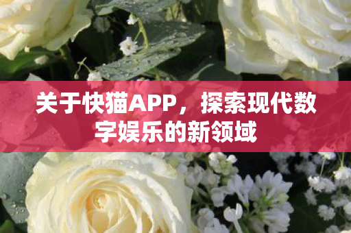 关于快猫APP,探索现代数字娱乐的新领域 关于快猫APP,探索现代数字娱乐的新领域