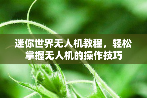 迷你世界无人机教程,轻松掌握无人机的操作技巧 迷你世界无人机教程,轻松掌握无人机的操作技巧