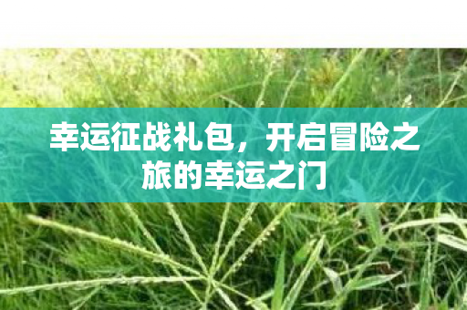幸运征战礼包,开启冒险之旅的幸运之门 幸运征战礼包,开启冒险之旅的幸运之门