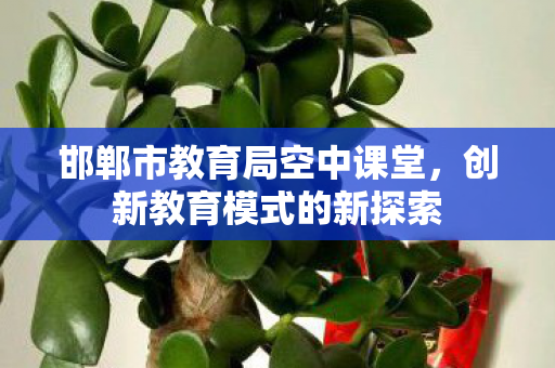 邯郸市教育局空中课堂,创新教育模式的新探索 邯郸市教育局空中课堂,创新教育模式的新探索