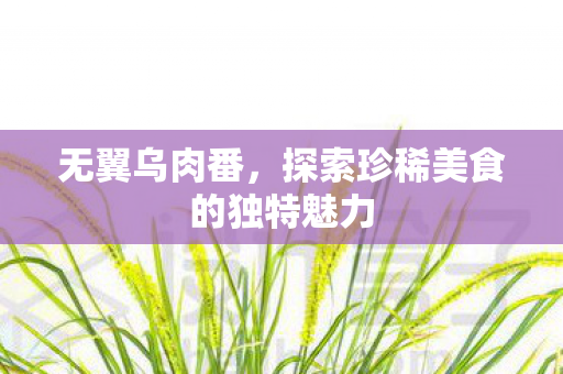 无翼乌肉番,探索珍稀美食的独特魅力 无翼乌肉番,探索珍稀美食的独特魅力