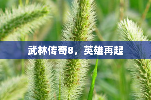 武林传奇8,英雄再起 武林传奇8,英雄再起