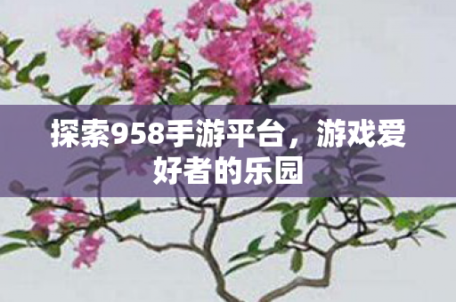 探索958手游平台，游戏爱好者的乐园