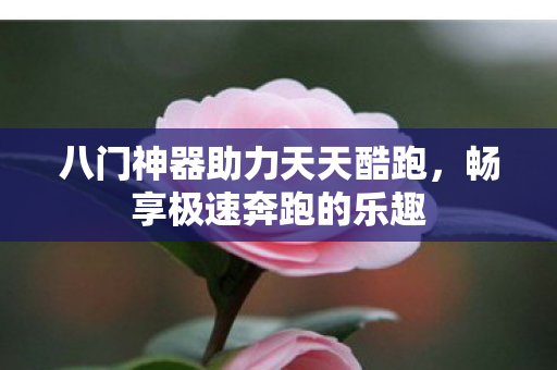 八门神器助力天天酷跑,畅享极速奔跑的乐趣 八门神器助力天天酷跑,畅享极速奔跑的乐趣