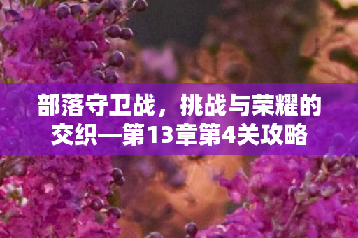 部落守卫战,挑战与荣耀的交织—第13章第4关攻略 部落守卫战,挑战与荣耀的交织—第13章第4关攻略