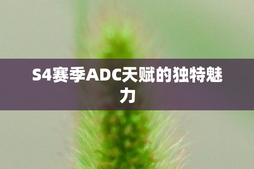 S4赛季ADC天赋的独特魅力 S4赛季ADC天赋的独特魅力