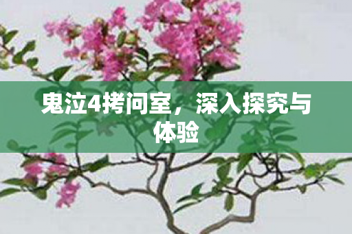 鬼泣4拷问室,深入探究与体验 鬼泣4拷问室,深入探究与体验