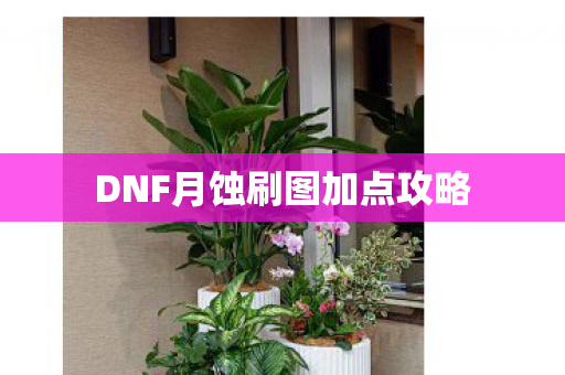 DNF月蚀刷图加点攻略 DNF月蚀刷图加点攻略