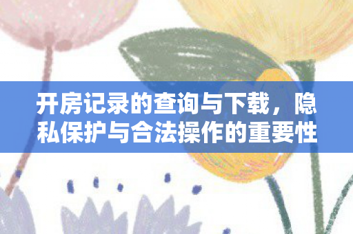 开房记录的查询与下载，隐私保护与合法操作的重要性