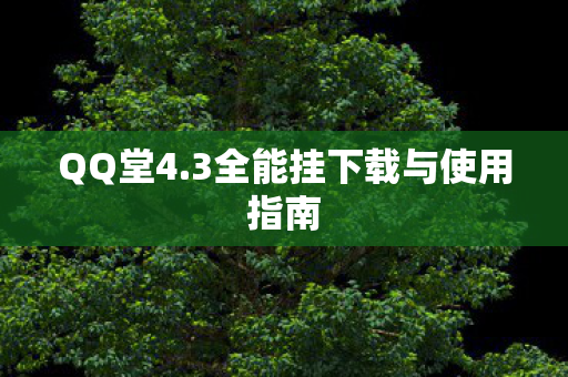 QQ堂4.3全能挂下载与使用指南 QQ堂4.3全能挂下载与使用指南
