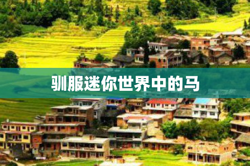 驯服迷你世界中的马 驯服迷你世界中的马