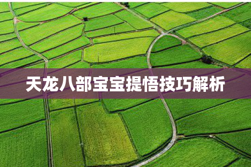 天龙八部宝宝提悟技巧解析 天龙八部宝宝提悟技巧解析