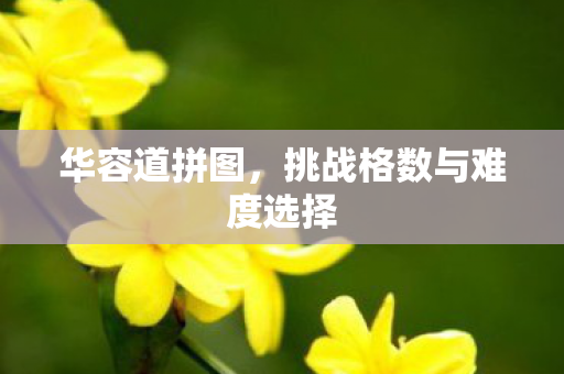 华容道拼图,挑战格数与难度选择 华容道拼图,挑战格数与难度选择