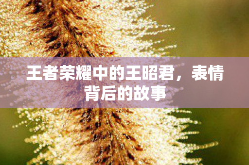 王者荣耀中的王昭君,表情背后的故事 王者荣耀中的王昭君,表情背后的故事