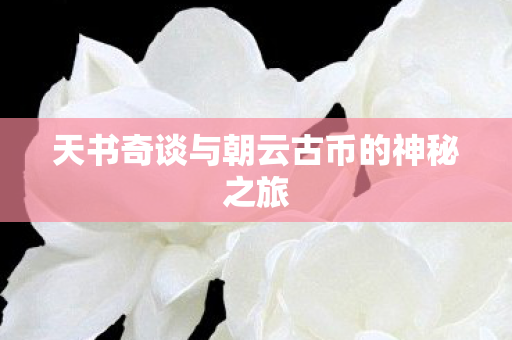 天书奇谈与朝云古币的神秘之旅 天书奇谈与朝云古币的神秘之旅