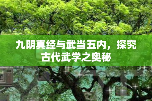 九阴真经与武当五内，探究古代武学之奥秘