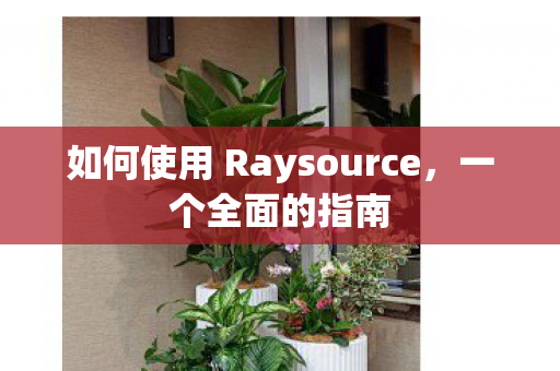 如何使用 Raysource,一个全面的指南 如何使用 Raysource,一个全面的指南