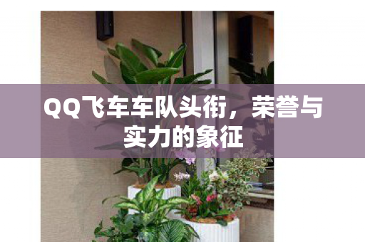 QQ飞车车队头衔，荣誉与实力的象征
