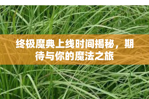 终极魔典上线时间揭秘,期待与你的魔法之旅 终极魔典上线时间揭秘,期待与你的魔法之旅