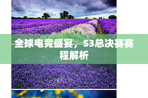 全球电竞盛宴,S3总决赛赛程解析 全球电竞盛宴,S3总决赛赛程解析