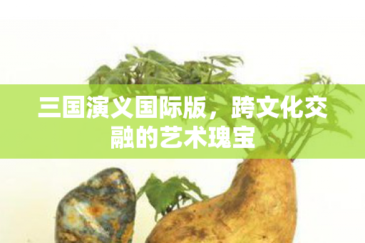 三国演义国际版,跨文化交融的艺术瑰宝 三国演义国际版,跨文化交融的艺术瑰宝