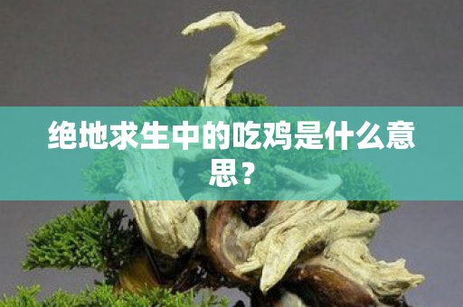 绝地求生中的吃鸡是什么意思？