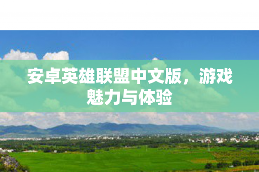 安卓英雄联盟中文版，游戏魅力与体验
