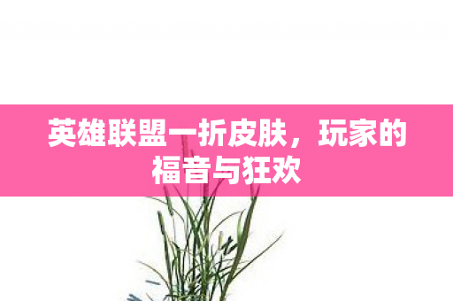 英雄联盟一折皮肤，玩家的福音与狂欢