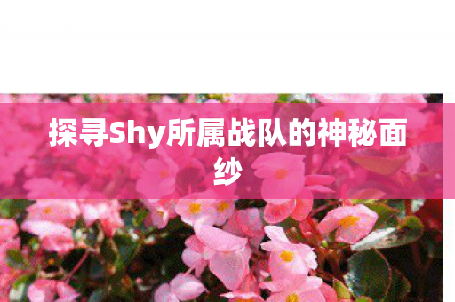 探寻Shy所属战队的神秘面纱