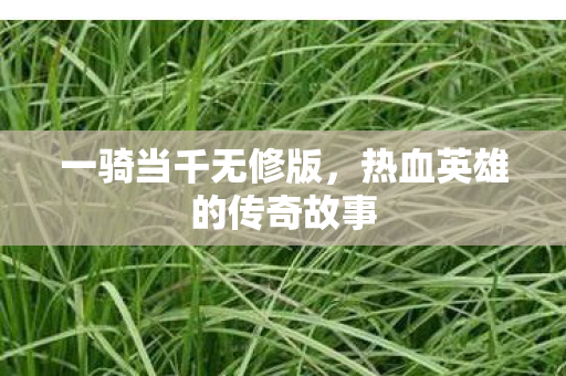 一骑当千无修版,热血英雄的传奇故事 一骑当千无修版,热血英雄的传奇故事