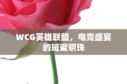 WCG英雄联盟,电竞盛宴的璀璨明珠 WCG英雄联盟,电竞盛宴的璀璨明珠