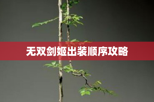 无双剑姬出装顺序攻略 无双剑姬出装顺序攻略