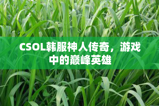 CSOL韩服神人传奇,游戏中的巅峰英雄 CSOL韩服神人传奇,游戏中的巅峰英雄