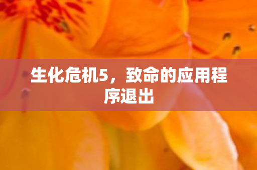 生化危机5,致命的应用程序退出 生化危机5,致命的应用程序退出