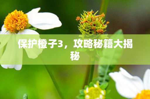 保护橙子3,攻略秘籍大揭秘 保护橙子3,攻略秘籍大揭秘