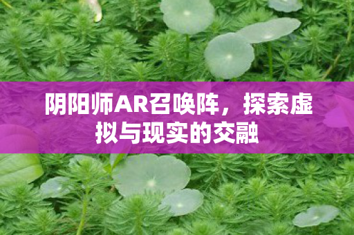 阴阳师AR召唤阵,探索虚拟与现实的交融 阴阳师AR召唤阵,探索虚拟与现实的交融