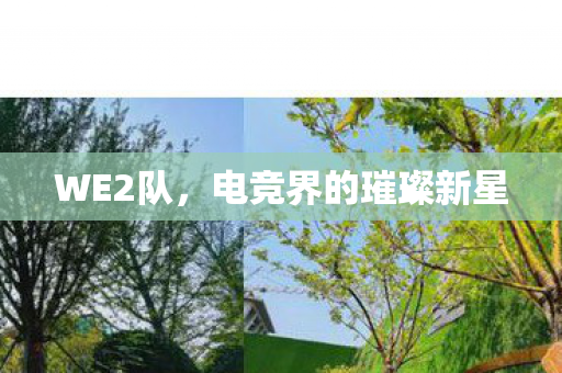 WE2队,电竞界的璀璨新星 WE2队,电竞界的璀璨新星