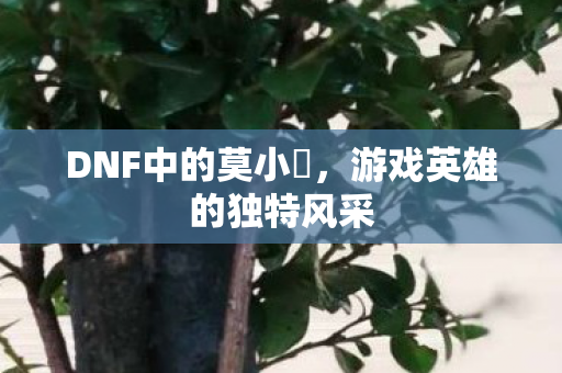 DNF中的莫小囧,游戏英雄的独特风采 DNF中的莫小囧,游戏英雄的独特风采