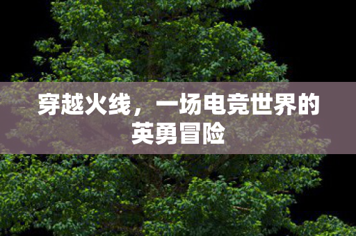 穿越火线,一场电竞世界的英勇冒险 穿越火线,一场电竞世界的英勇冒险
