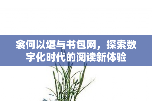 衾何以堪与书包网,探索数字化时代的阅读新体验 衾何以堪与书包网,探索数字化时代的阅读新体验